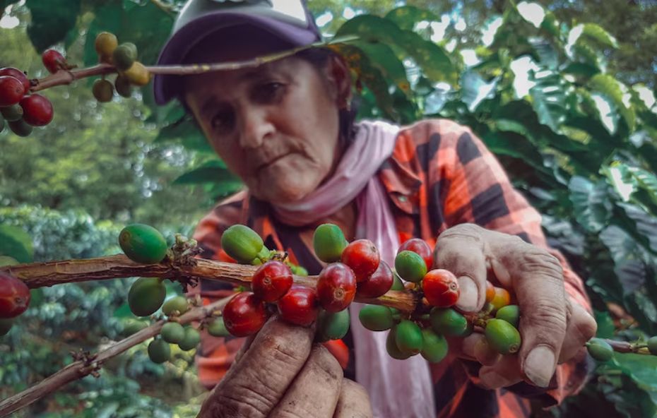 Turismo no Vale do Café cresce com experiências únicas