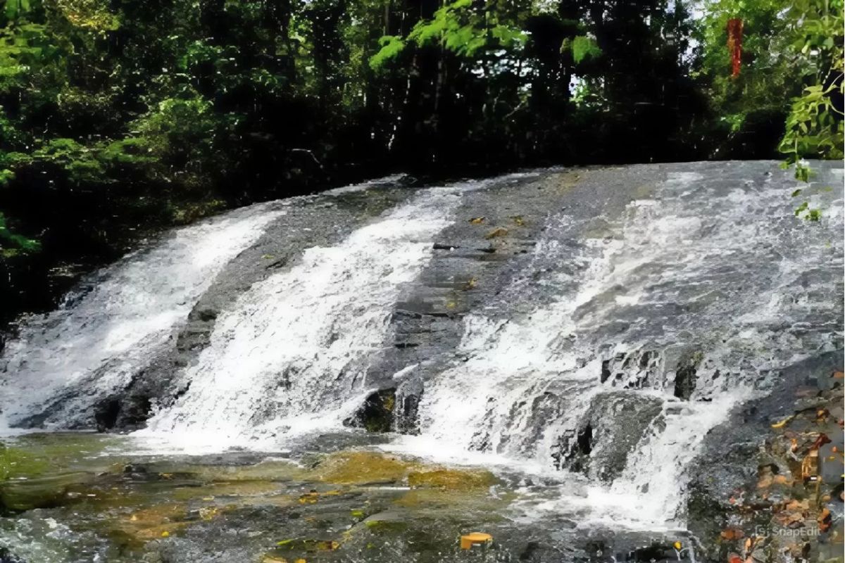 Cachoeira da Floresta