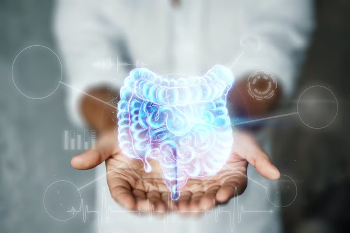 Coloproctologia em Barra do Piraí