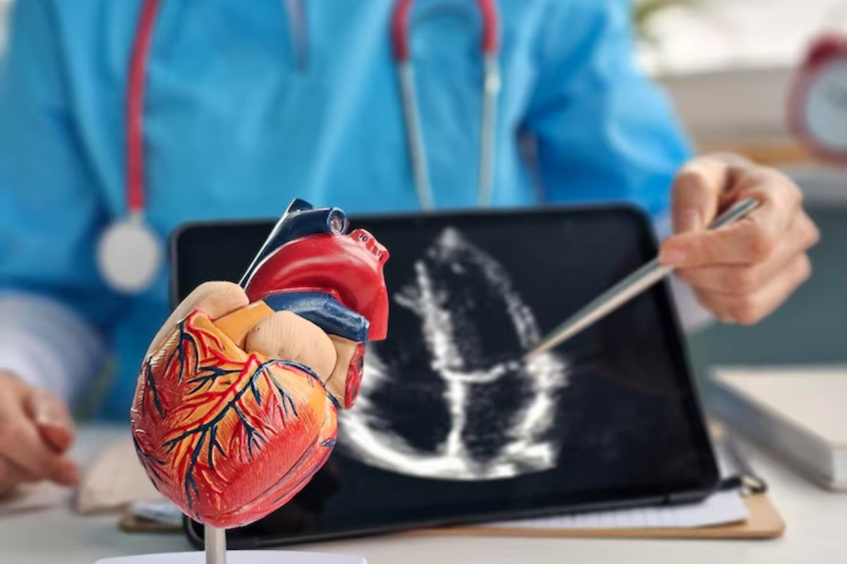 Definição de cardiologia