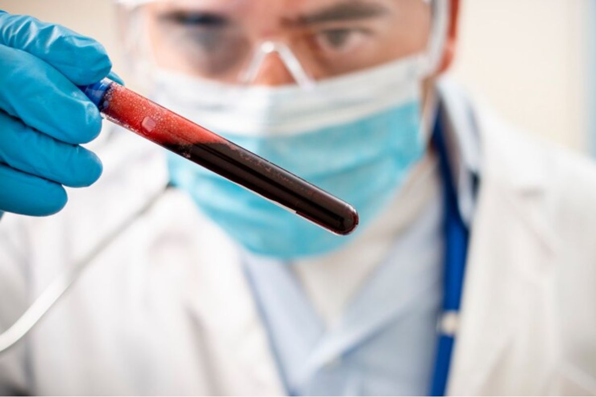 Hematologia
